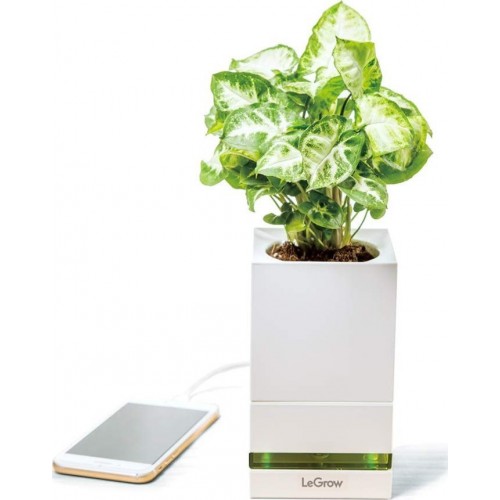 Allocacoc LeGrow Friendly Workplace Έξυπνο Γλαστράκι  Με Ταχεία Φόρτιση 3.0