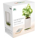 Allocacoc LeGrow Friendly Workplace Έξυπνο Γλαστράκι  Με Ταχεία Φόρτιση 3.0