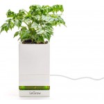 Allocacoc LeGrow Friendly Workplace Έξυπνο Γλαστράκι  Με Ταχεία Φόρτιση 3.0