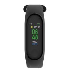 Blaupunkt Multisport Black Bluetooth Smartwatch  (BLP5230-133)
